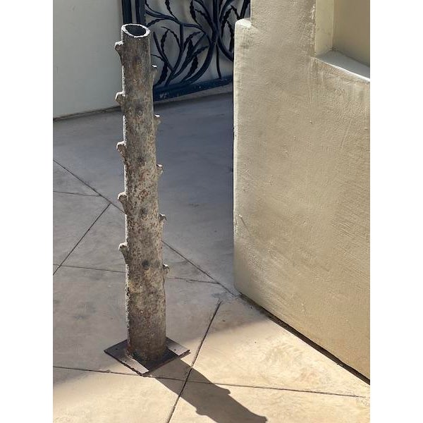 Beautiful Faux Bois from France