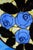Blue Vintage Ceramic Plates by La Spiga Roma, 1930s, Set of 2 For Sale - Image 8 of 18