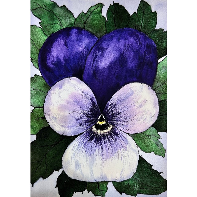 Viola Watercolor Painting Giclee Print For Sale