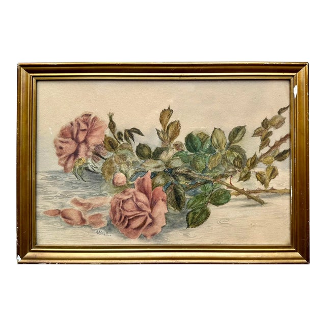 Circa 1800s Drawing of Roses in Gilt Plaster Frame With Wavy Glass Signed M a Sheller For Sale