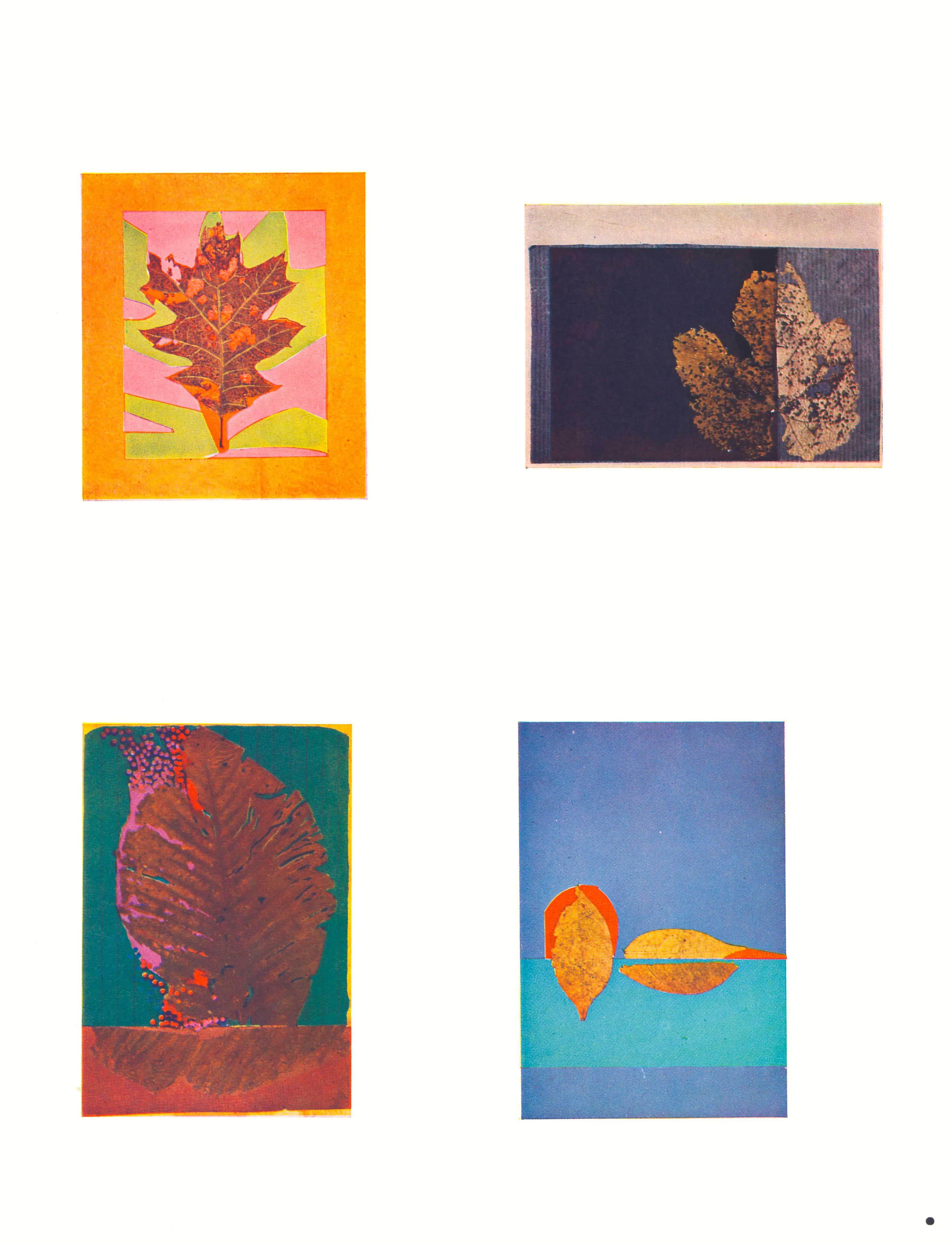 Josef Albers 1963 