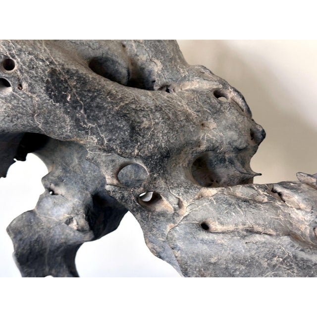 Asian Extraordinary Chinese Taihu Scholar Stone Rare Form on Display Stand For Sale - Image 3 of 18