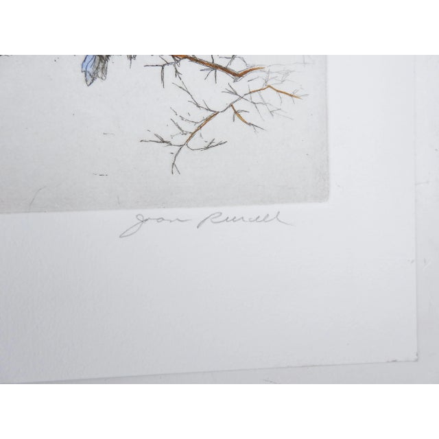 Rustic Contemporary Baby Blue Bird on Branch Etching For Sale - Image 3 of 4