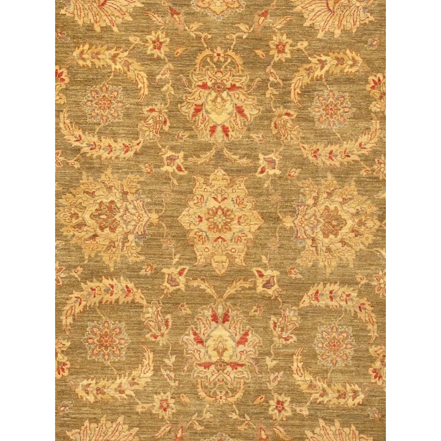 Meet Pasargad Home Denver Collection. This gorgeous decorative area rug brings you a sophisticated look with a modern soft...
