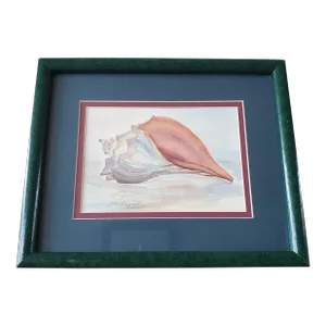 Vintage Conch Shell Watercolor Painting by Margarette Glidewell Pulliam