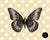 Modern butterfly print on canvas 24 x 30 in a black floating frame. Includes hanging hardware. Graphic made by us. Color-...