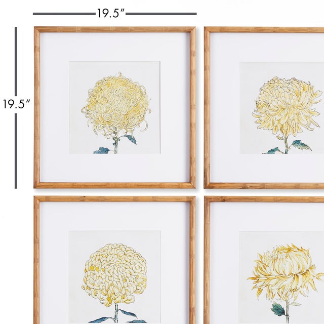 Arts & Crafts Chrysanthemum Prints, Set Of 4 For Sale - Image 3 of 6