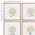 Arts & Crafts Chrysanthemum Prints, Set Of 4 For Sale - Image 3 of 6