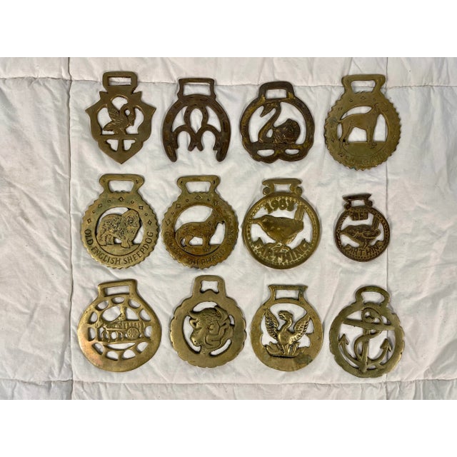 Mid 20th Century Horse Brass Christmas Ornaments - Set of 12 For Sale - Image 13 of 13