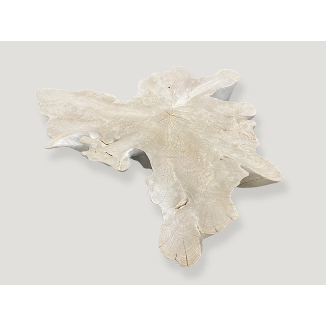 Mid-Century Modern Andrianna Shamaris Amorphous Mid Century Style Bleached Teak Wood Coffee Table For Sale - Image 3 of 6