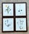 Late 20th Century Vintage Botanical Herbarium Prints in Wood Frames - Set of 4 For Sale - Image 5 of 13