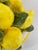 Large Vintage Italian Style Lemon Topiary Centerpiece For Sale - Image 14 of 18