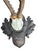 Roe Deer Trophy 166 Black Forest Mount Circa 1904 For Sale - Image 4 of 5