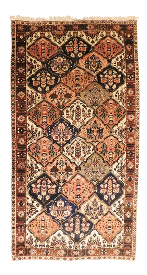 Vintage Persian Bakhtiar Rug- 5′9″ × 10′9″
