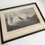 Illustration John James Audubon Art Print - Trumpeter Swan For Sale - Image 3 of 10