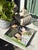 hardcover edition of Martha’s Entertaining: A Year of Celebrations by Martha Stewart. Filled with photography,...