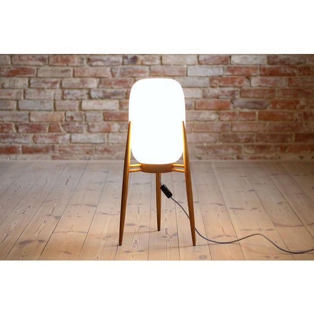 Floor Lamp with Glass Lampshade from Uluv Krásná Jizba, 1960s For Sale - Image 4 of 12