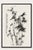 Chinese Bamboo by Zheng Xie, Vintage Art Print, 16" X 24" For Sale In Buffalo - Image 6 of 11