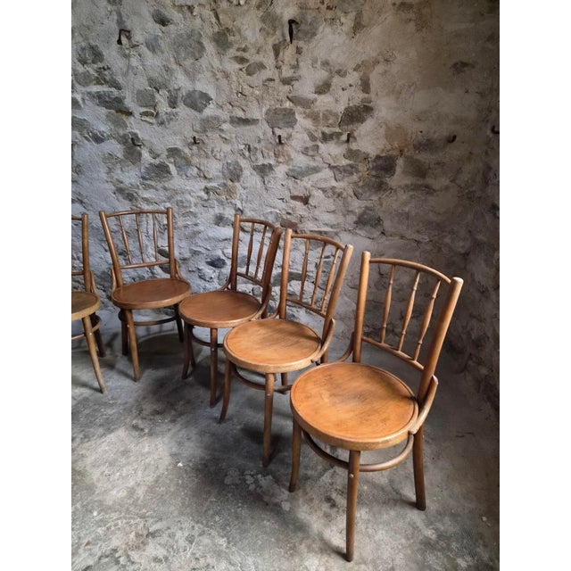 Bauhaus Bentwood Bistro Chairs from Fischel, Former Czechoslovakia, 1930s, Set of 6 For Sale - Image 3 of 18