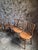 Bauhaus Bentwood Bistro Chairs from Fischel, Former Czechoslovakia, 1930s, Set of 6 For Sale - Image 3 of 18