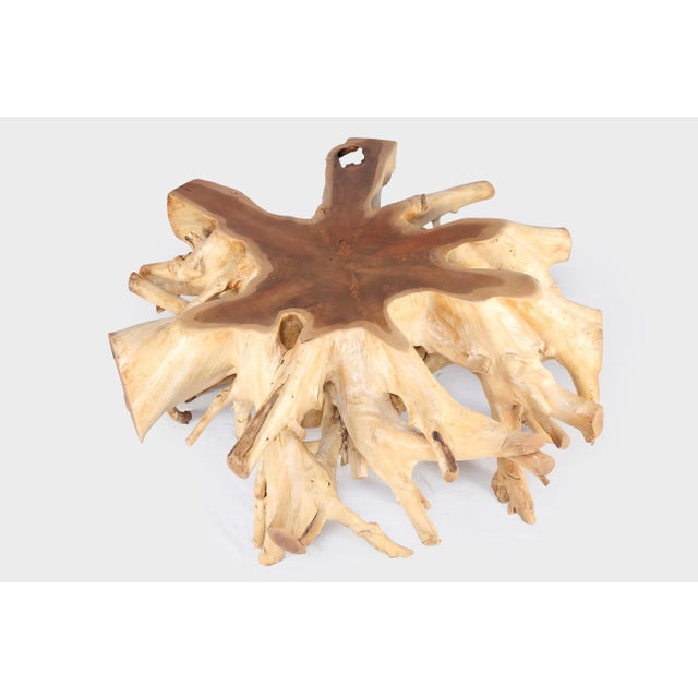 Inspired by the beauty of natural root form, this organic teak coffee table is handcrafted from one piece of salvaged teak...