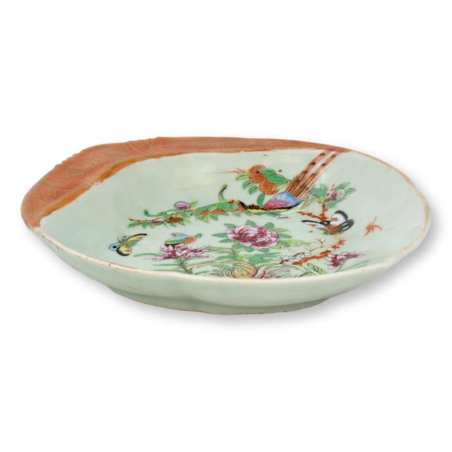 Chinese Antique Chinese Export Celadon Shrimp Dish with Figural Rim For Sale - Image 3 of 3