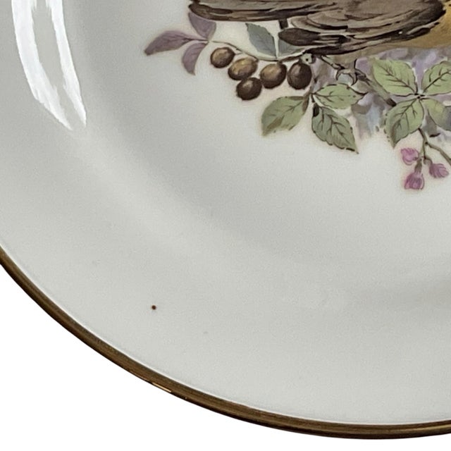 Mid 20th Century Porcelain Song Bird Plates JKW Western Germany, Set of 6 For Sale - Image 15 of 18