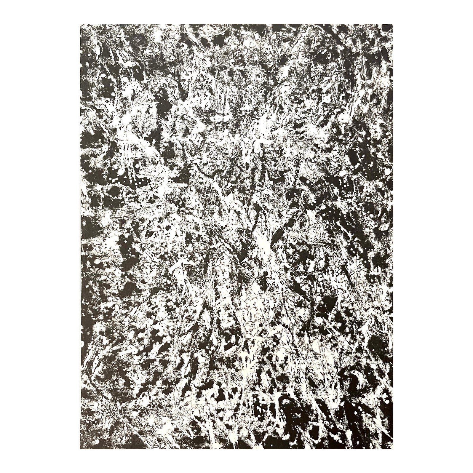 Francois Fiedler Original Lithograph Dm07121 Derriere Le Miroir