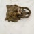 English Vintage Brass Lion Door Knocker With Attached Strikeplate For Sale - Image 3 of 10