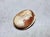 Late 19th Century Antique Victorian Shell Cameo Athena Gold Brooch Pendant, Circa 1860-1880 For Sale - Image 5 of 9