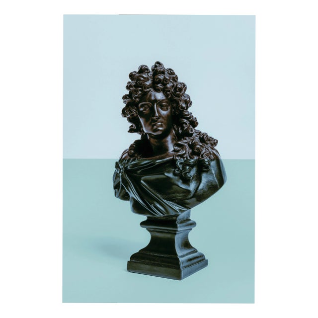 Guy Sargent, Louis XIV Pink, Archival Pigment Print For Sale