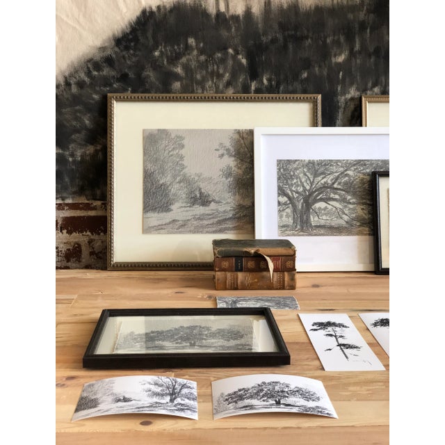 Contemporary "Print Collection: Tree Study" Contemporary Original Black and White Landscape Print on Paper For Sale - Image 3 of 6