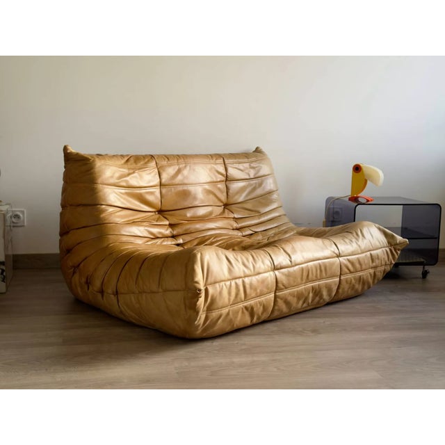 Togo 2-Seater Sofa Ligne Roset For Sale - Image 10 of 13