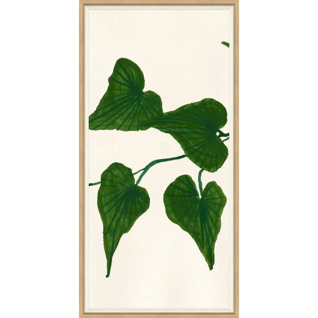 Ivy II Framed Art Print For Sale
