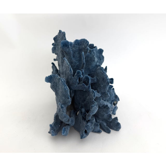 Late 20th Century Natural Blue Coral Specimen Coastal Decor For Sale - Image 5 of 8