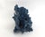 Late 20th Century Natural Blue Coral Specimen Coastal Decor For Sale - Image 5 of 8