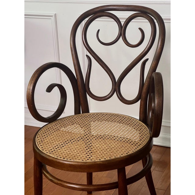 Brown Italian Bentwood Thonet "Cafe Daum" Style Armchair by Salvatore Leone, 1960s For Sale - Image 8 of 12