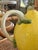 1960s Portuguese Majolica Lemon Pitcher — Caldas Da Rainha Region Pinheito Style, Unsigned | Hand-Painted Ceramic For Sale In Miami - Image 6 of 9