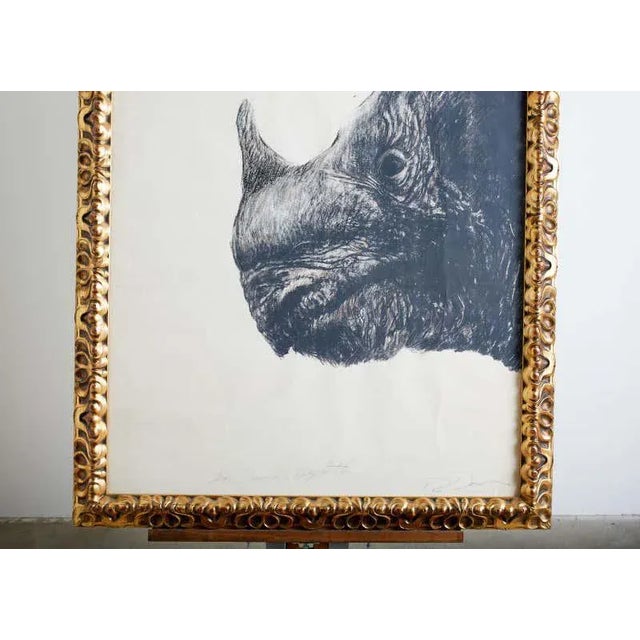 Large Framed Drawing of a Baby Rhino Head For Sale - Image 9 of 13