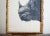 Large Framed Drawing of a Baby Rhino Head For Sale - Image 9 of 13