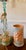 Twisted Spiral Botero Wine Bottle and Wine Chiller For Sale - Image 6 of 12