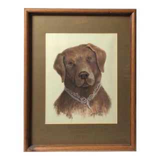 1980s Pastel on Paper Chocolate Lab Drawing - A Pair For Sale