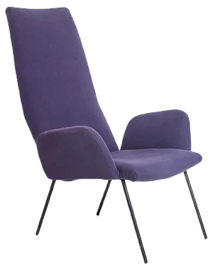 Vintage Lounge Chair, 1950s