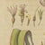 Beige Bertuch, New Zealand Flax with Flower Details, 1815, Print For Sale - Image 8 of 12