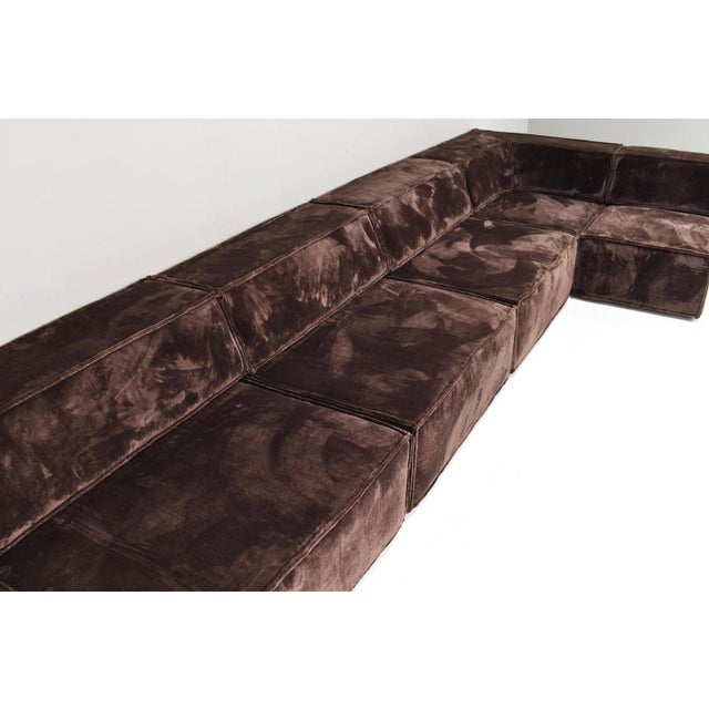 Brown Trio Sectional Sofa in Chocolate Brown Velvet with New Upholstery from Cor, 1972, Set of 10 For Sale - Image 8 of 18