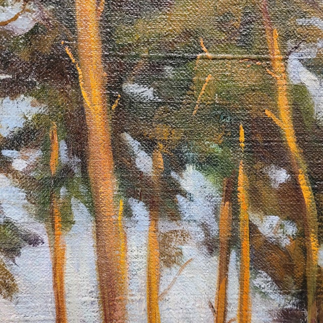 French School Artist, Pine Forest, 20th Century, Oil on Canvas, Framed For Sale - Image 12 of 18