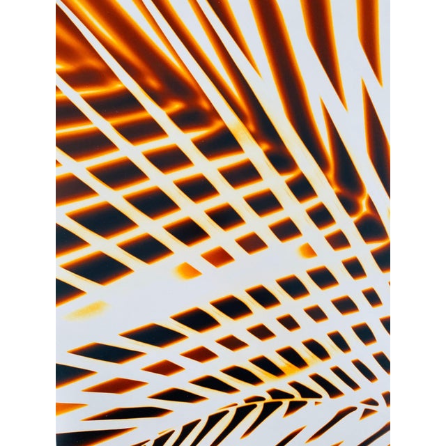 FLORA & FAUNA SERIES, c.1998, Fuji crystal archive paper. Unsigned. Photographer Jeffrey Rothstein focuses on different...