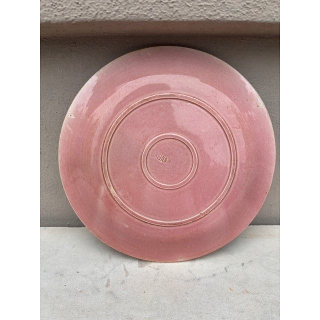 Late 19th Century French Pink Majolica Parakeets Plate Salins, Circa 1890 For Sale - Image 5 of 5