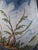 Hand-Painted Albisola Glazed Ceramic Vase by Giuseppe Mazzoni, 1960s For Sale - Image 11 of 12