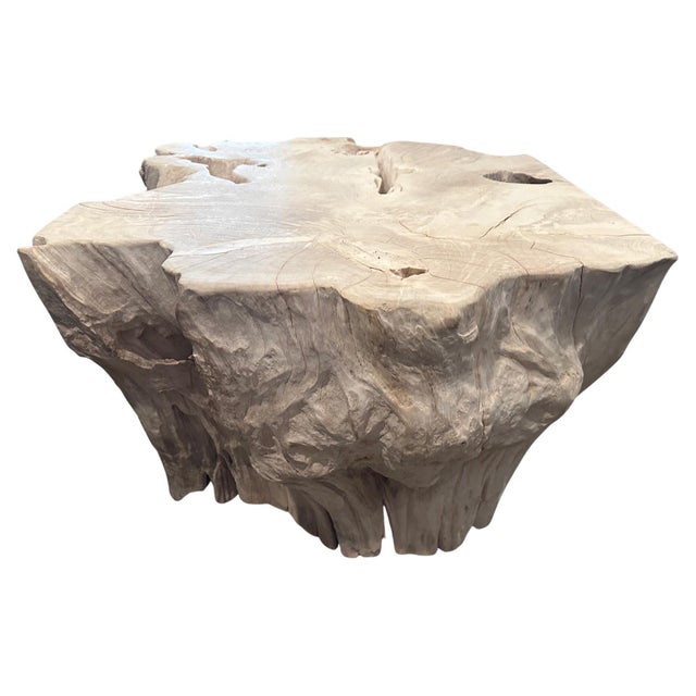 Andrianna Shamaris Bleached Teak Wood Sculptural Coffee Table or Pedestal For Sale - Image 15 of 18